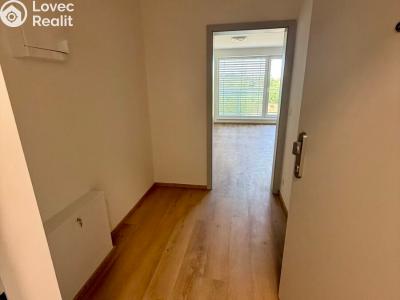 Аренда квартиры 1+KK Třebíč, Modřínová 494 č. 6