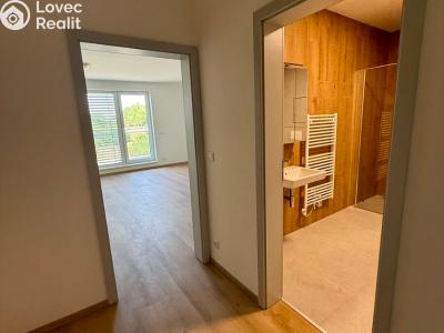 Аренда квартиры 1+KK Třebíč, Modřínová 494 č. 8