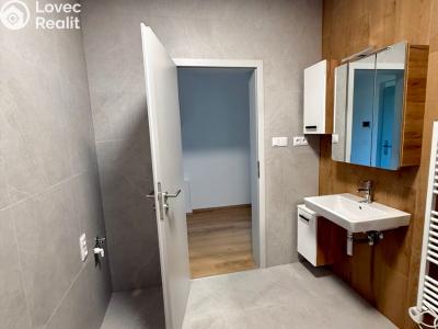 Аренда квартиры 1+KK Třebíč, Modřínová 494 č. 11