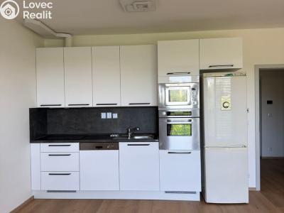 Аренда квартиры 1+KK Třebíč, Modřínová 494 č. 14