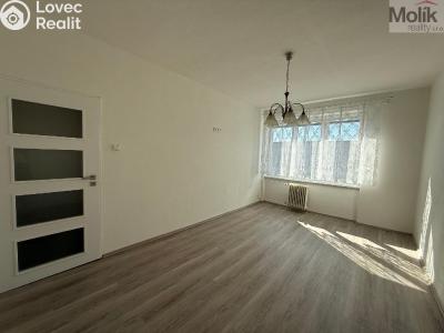 Rent apartment 2+1 Litvínov, Valdštejnská 919 č. 6