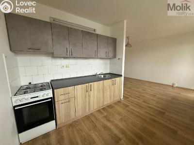 Rent apartment 2+1 Bílina, Bezejmenná 256 č. 1