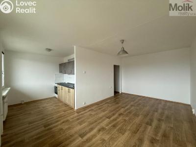 Rent apartment 2+1 Bílina, Bezejmenná 256 č. 3