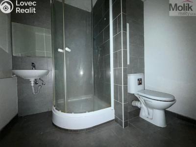 Rent apartment 2+1 Bílina, Bezejmenná 256 č. 7