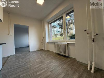 Pronájem bytu 3+1 Bílina, Sídliště Za Chlumem 732 č. 3