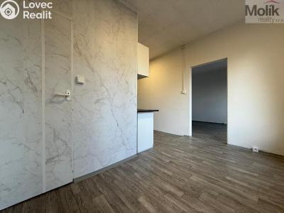 Pronájem bytu 3+1 Bílina, Sídliště Za Chlumem 732 č. 5