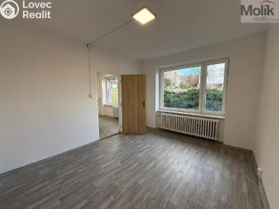 Pronájem bytu 3+1 Bílina, Sídliště Za Chlumem 732 č. 8