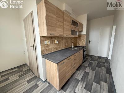 Pronájem bytu 3+1 Bílina, Sídliště Za Chlumem 722 č. 11