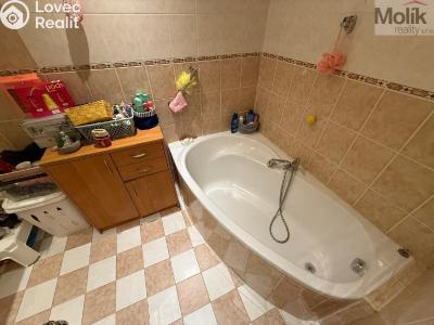 Rent apartment 2+1 Bílina, Sídliště Za Chlumem 786 č. 9