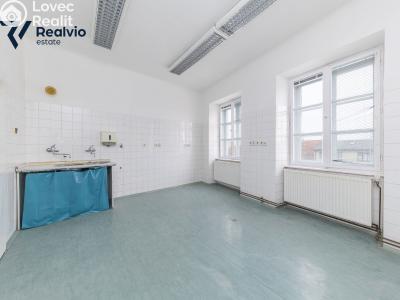 Rent commercial space Slavkov u Brna, Palackého náměstí č. 1