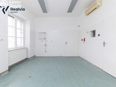 Rent commercial space Slavkov u Brna, Palackého náměstí č. 2