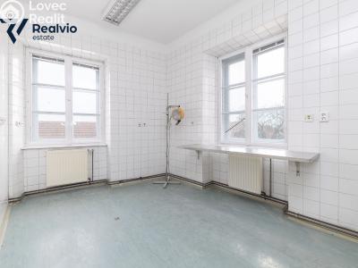 Rent commercial space Slavkov u Brna, Palackého náměstí č. 5