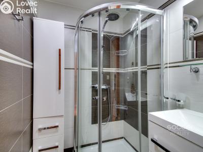 Sale apartment 1+KK Praha, Třinecká č. 6