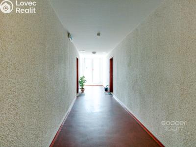 Sale apartment 1+KK Praha, Třinecká č. 10