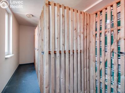Sale apartment 1+KK Praha, Třinecká č. 12