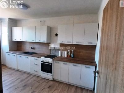 Rent apartment 3+1 Ústí nad Labem, Purkyňova č. 1