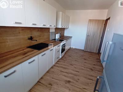 Rent apartment 3+1 Ústí nad Labem, Purkyňova č. 2
