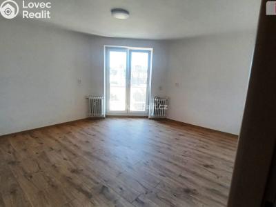Rent apartment 3+1 Ústí nad Labem, Purkyňova č. 4