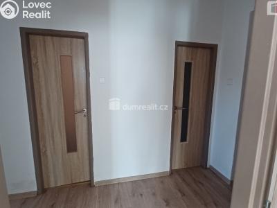 Rent apartment 3+1 Ústí nad Labem, Purkyňova č. 6