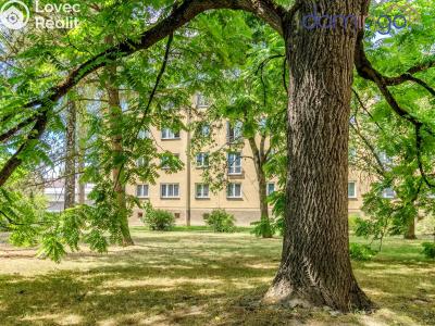 Продажа квартиры 3+1 Svitavy, Olbrachtova č. 13