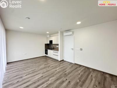 Rent apartment 1+KK Mladá Boleslav, Vodárenská č. 6
