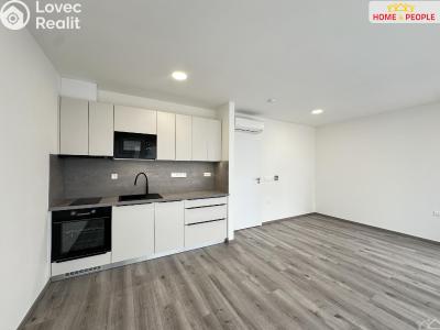 Rent apartment 1+KK Mladá Boleslav, Vodárenská č. 7