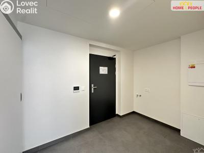 Rent apartment 1+KK Mladá Boleslav, Vodárenská č. 9