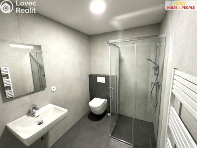 Rent apartment 1+KK Mladá Boleslav, Vodárenská č. 10