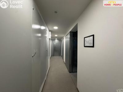 Rent apartment 1+KK Mladá Boleslav, Vodárenská č. 12