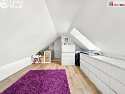 Продажа семейного дома Jevišovka č. 6
