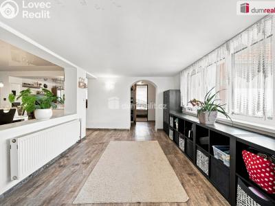 Продажа семейного дома Jevišovka č. 10