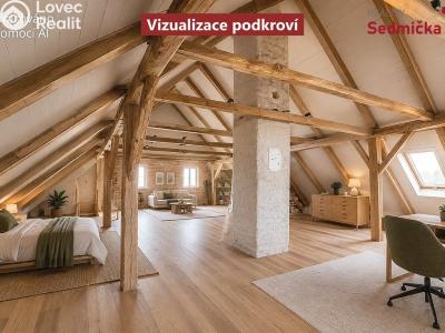 Sale farm Šlapanov č. 29