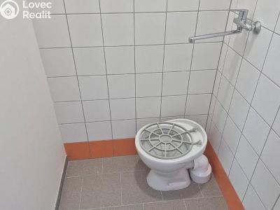 Rent commercial properties Praha č. 16