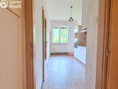 Rent apartment 2+1 Teplice, Josefa Hory č. 9