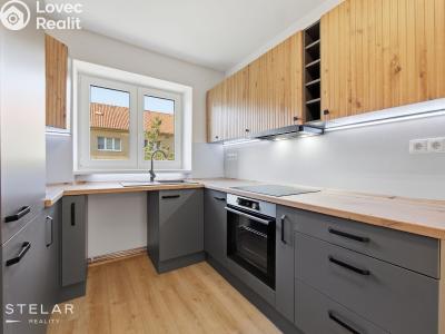Rent apartment 2+1 Moravské Budějovice, Myslbekova 467 č. 1