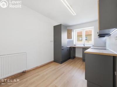Rent apartment 2+1 Moravské Budějovice, Myslbekova 467 č. 3
