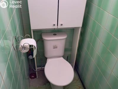 Rent apartment 4+KK Božice č. 11