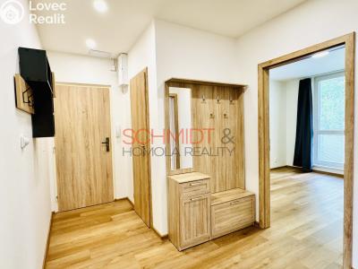 Rent apartment 3+1 Hustopeče, Školní č. 1