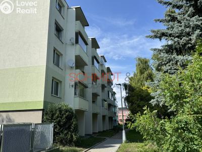 Rent apartment 3+1 Hustopeče, Školní č. 13