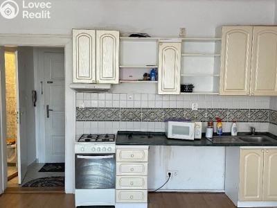 Аренда квартиры 1+KK Plzeň, Skalní č. 1