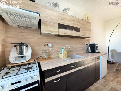 Rent apartment 2+1 Háj u Duchcova, Kubátova 115 č. 5