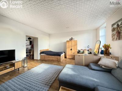 Rent apartment 2+1 Háj u Duchcova, Kubátova 115 č. 10