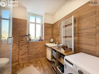 Rent apartment 2+1 Háj u Duchcova, Kubátova 115 č. 13