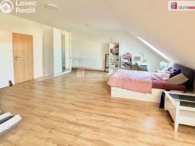 Rent apartment 1+KK Chabařovice, V Aleji č. 8