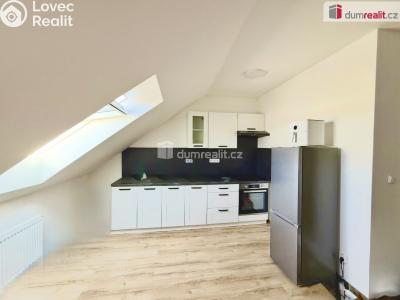 Rent apartment 1+KK Chabařovice, V Aleji č. 10