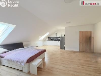 Rent apartment 1+KK Chabařovice, V Aleji č. 6