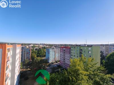 Pronájem bytu 1+1 Cheb, Dvořákova č. 6