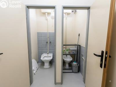 Prodej obchodního prostoru Stráž pod Ralskem, Revoluční č. 5