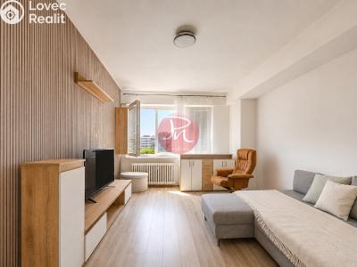 Sale apartment 2+1 Bohumín, Čáslavská 972 č. 2