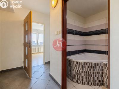Sale apartment 2+1 Bohumín, Čáslavská 972 č. 11